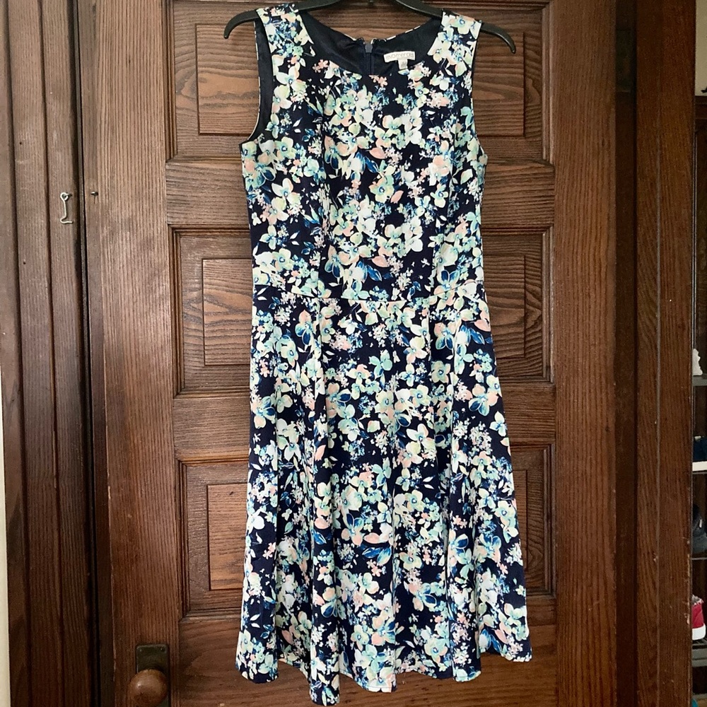 Fit and Flare Zip Up Eva Mendes Summer Dress, Size 6.